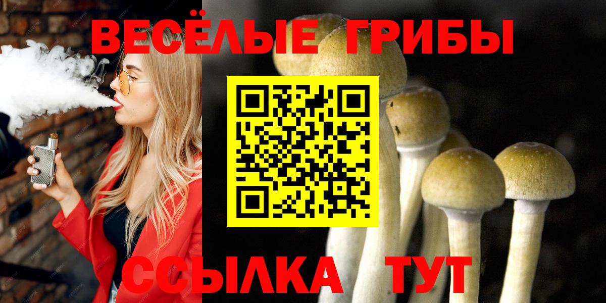 Псилоцибиновые грибы Magic Shrooms  Галлюциногенные грибы мухоморы  Калач-на-Дону  Вход с VPN 